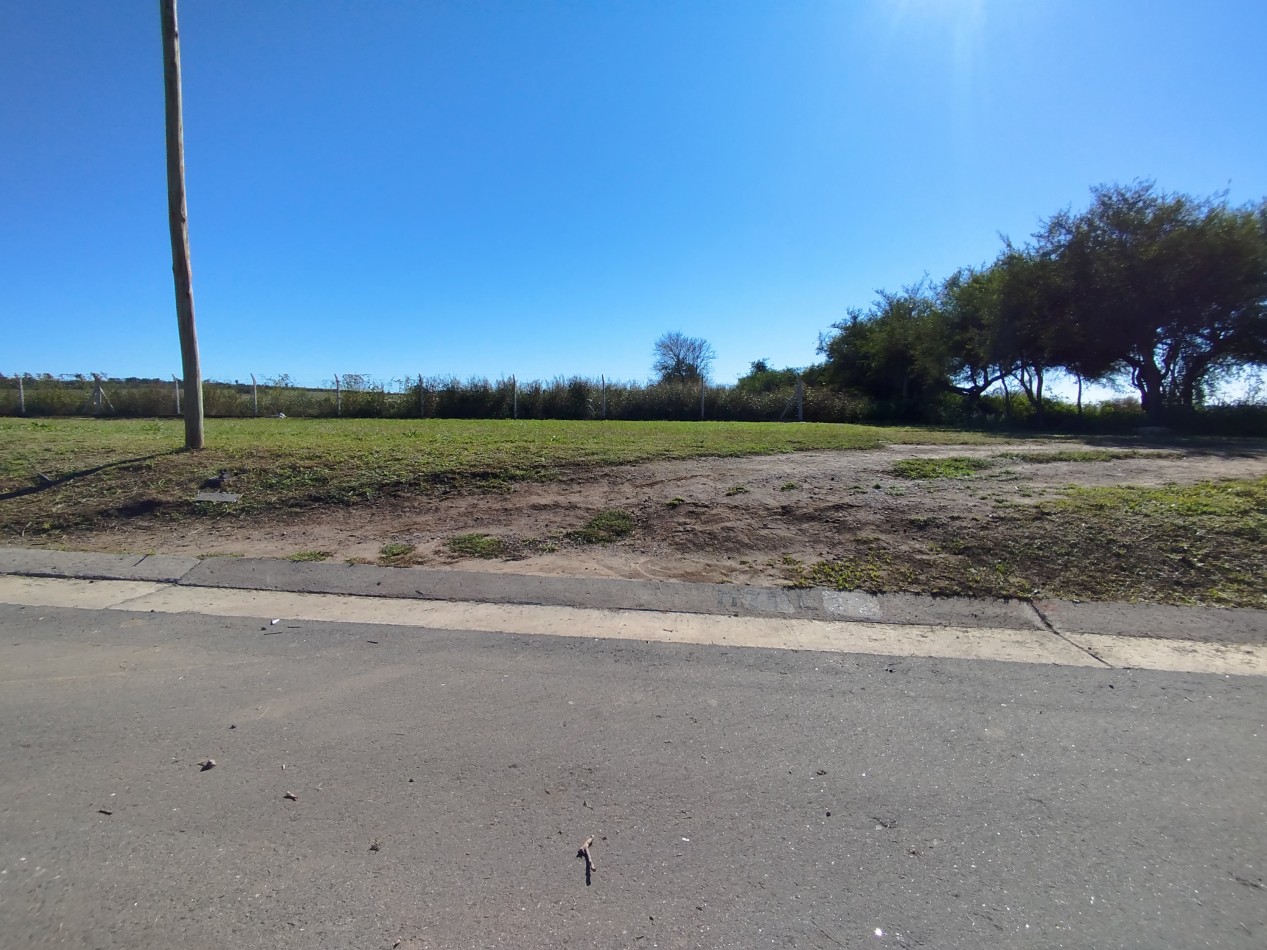LOTE RESIDENCIAL EN VENTA 250m2 - Docta Central
